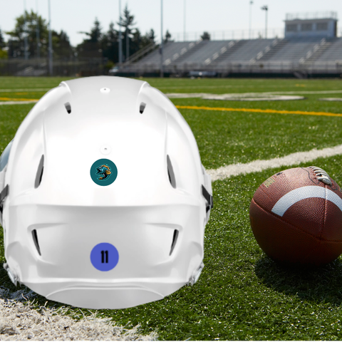 Custom Helmet Stickers